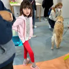 descarga (4)