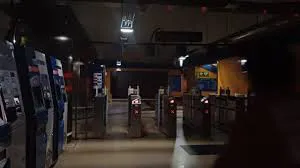 descarga (2)